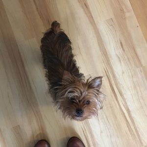 Meet your Posher, Sarah